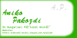aniko pakozdi business card